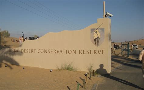 What to Know About Dubai Desert Conservation Reserve - Arabia Horizons Blog