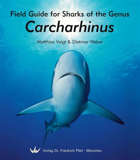 Field Guide for Sharks of the Genus Carcharhinus - Dr. Friedrich Pfeil ...