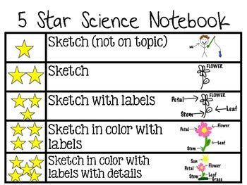 Kinder Science Notebook Rubric by Sunshine Kinder | TpT