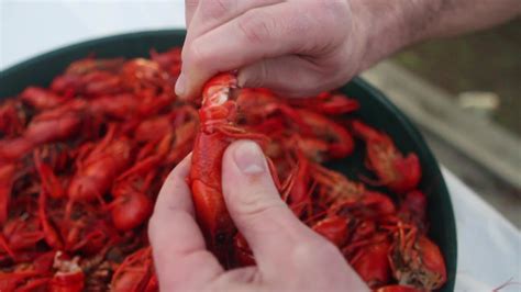 How To Eat A Crawfish Youtube