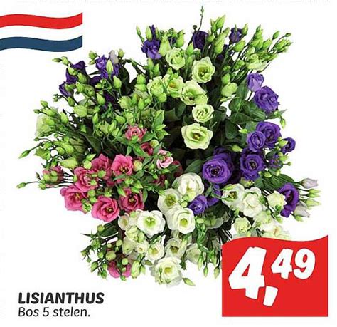 Lisianthus Aanbieding Bij DekaMarkt 1Folders Nl