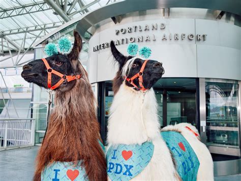 FlyPDX - PDXPeople - Celebrating PDX Volunteers During National
