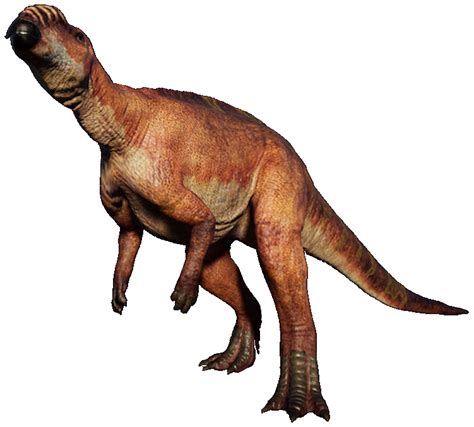 Muttaburrasaurus Is A Genus Of Ornithopod Dinosaur That Originated From