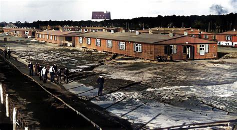 Major Bob Haston Stalag Luft Iii Prisoner Of War Daniel Haston