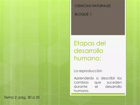 Ciencias Naturales Etapas Del Desarrollo Humano Ppt