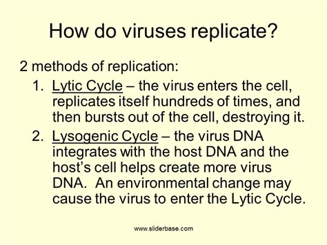 Viruses And HIV Presentation Health And Disease