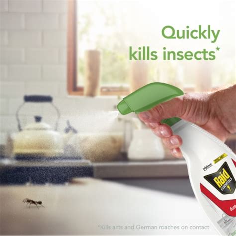 Raid® Essentials Ant and Roach Killer, 12 fl oz - Kroger