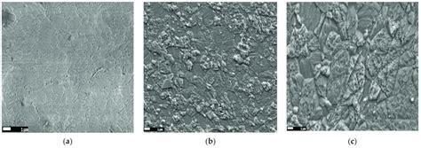 SEM Micrographs Of The Samples Sintered By SPS At A 1300 C B