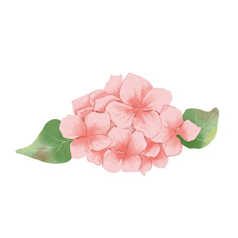 Flor De Flor De Aquarela Rosa PNG Rosa Folha Aguarela Imagem PNG E