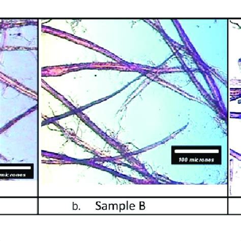 A B C Photomicrographs Optical 100 Mm Of Samples A B And C Download Scientific Diagram