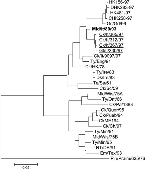 Phylogenetic Tree Of The Ha Genes Of H Influenza Viruses The