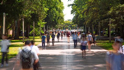 Unsw Sydney Ranks 84th In The 2024 The World University Rankings