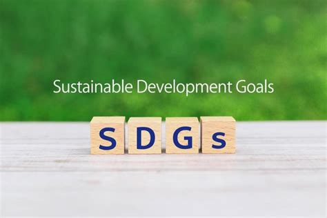 Sdgsはいつから始まった？誕生までの歴史的背景を解説 グリーングロワーズ 安心安全で環境に優しい水耕栽培レタス