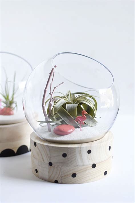 Modern Diy Terrariums Delineate Your Dwelling