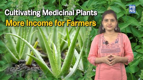 Govt Promotes Cultivation Of Medicinal Plants For Farmers Benefit