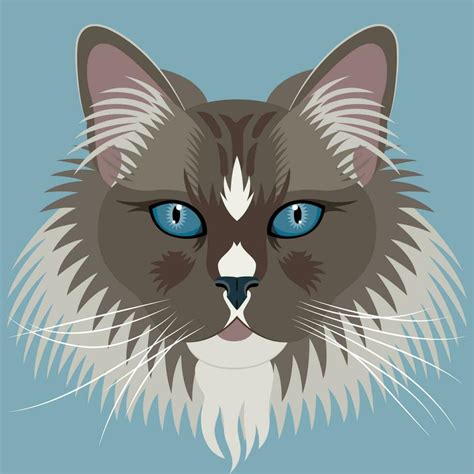 Ragdoll Vector Art, Icons, and Graphics for Free Download