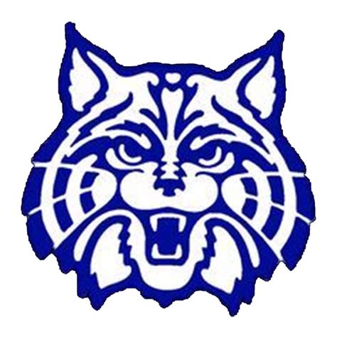 Meridian Wildcats Football (Meridian, MS) Roster - High School On SI