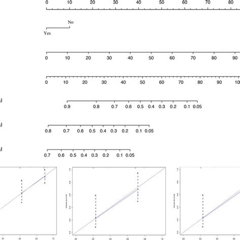 Nomogram For Predicting 1 3 And 5 Year OS And Calibration Curves