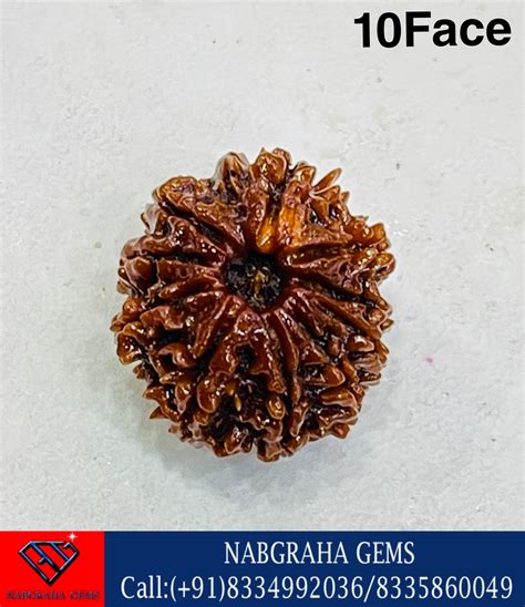 Natural Rudraksha Beads Nepali