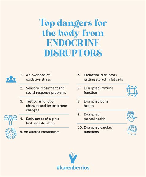 Top Endocrine Disruptors And How To Avoid Them Karen Berrios Empowering Inner Healing To