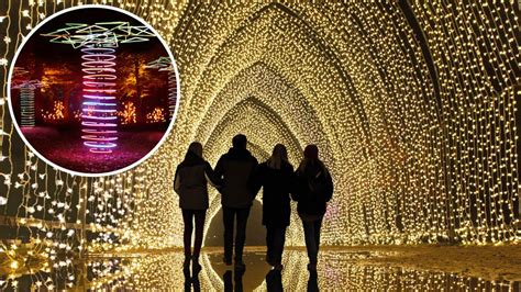 Lightscape To Illuminate Wa For The First Time With Kings Park Winter