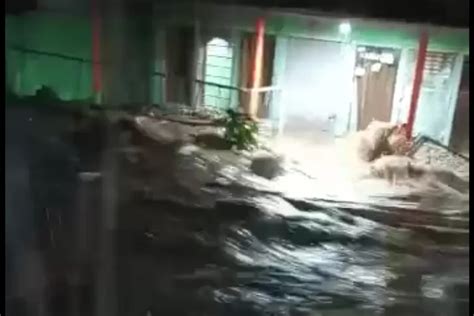 Banjir Bandang Landa Kalibaru Puluhan Rumah Terendam Kabar Rakyat