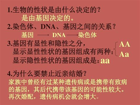 2017 2018学年人教版八年级生物下册第7单元第2章第四节人的性别遗传 课件共17张pptword文档在线阅读与下载无忧文档