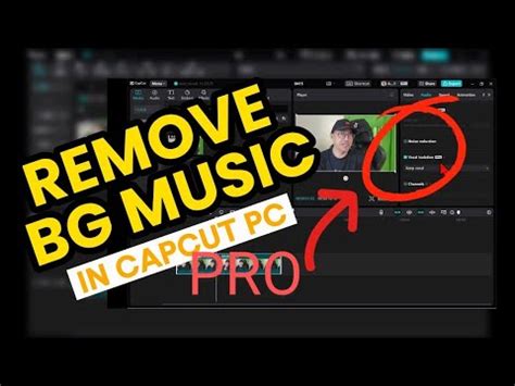 How To Remove Background Music From A Video And Keep The Vocals In