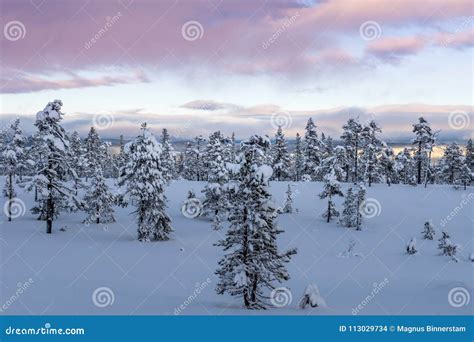 Winter View from a National Park in the Mountains in Sweden Stock Photo ...