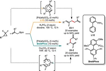 Recent Advances In Ligand Enabled Palladium Catalyzed Divergent