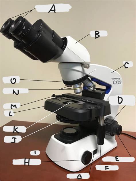 BIO LAB 1101 MIDTERM Compound Microscope Diagram Quizlet