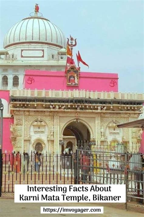 Interesting Facts About Karni Mata Temple In Bikaner Travel