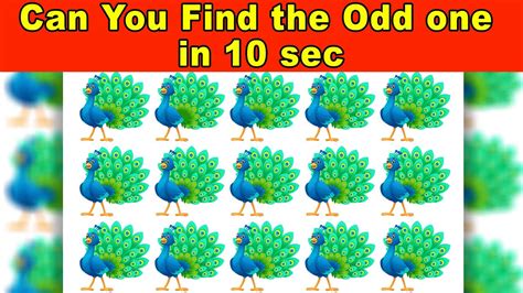 Can You Find The Odd One In 10 Sec Optical Illusions That Will Trick