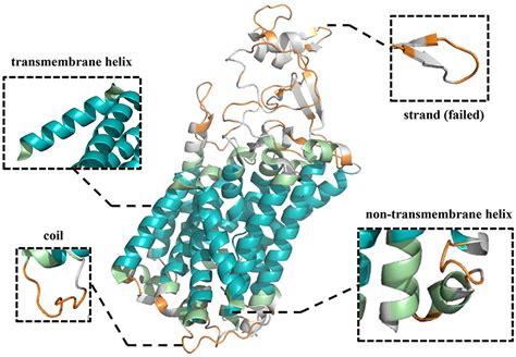 Frontiers Tmpss A Deep Learning Based Predictor For Secondary Structure And Topology