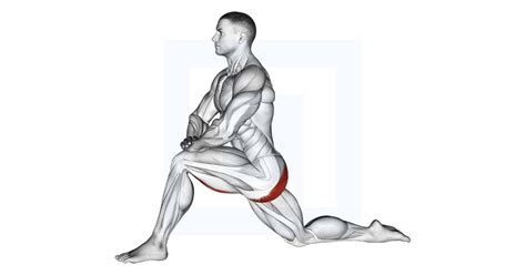 Kneeling Hip Flexor Stretch - Guide, Benefits, and Form