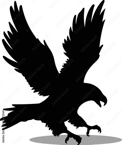 Hawks Silhouette, cute Hawks Vector Silhouette, Cute Hawks cartoon ...