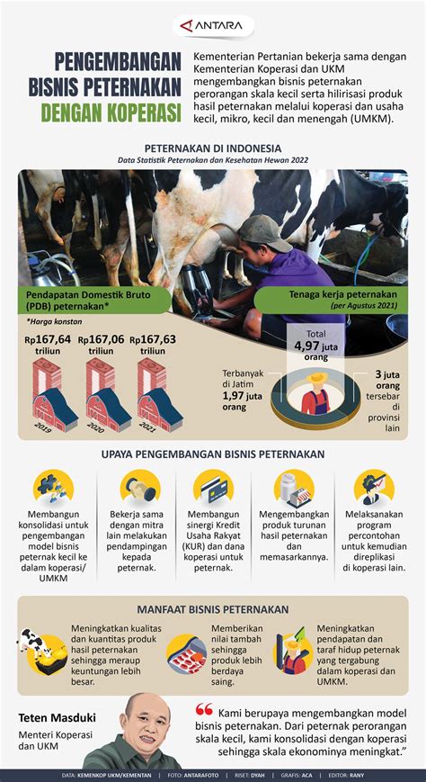 Pengembangan Bisnis Peternakan Dengan Koperasi Infografik Antara News