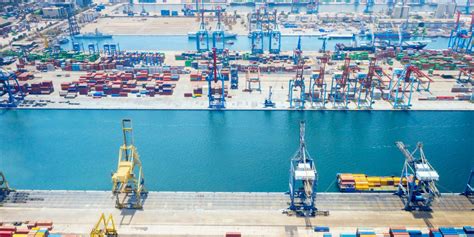 unveiling  influence  transshipment  transit types  reliability