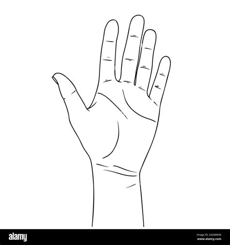 Palm Hand Drawing