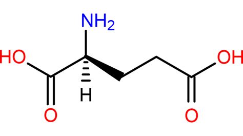 Glutamic Acid Structure - Science Notes and Projects