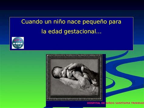 PPT Cuando un niño nace pequeño para la edad gestacional HOSPITAL DE