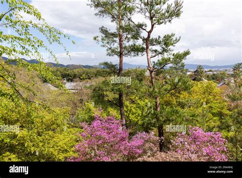 Kyoto Japan Tenryu Ji Temple Gardens In Spring 2023 With Azaleas And