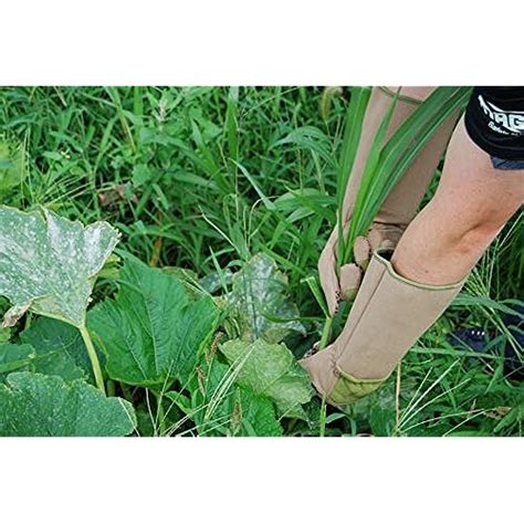 Magid Be194tl Rose Pruning Gardening Gloves