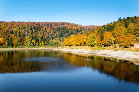 Les Vosges Automne