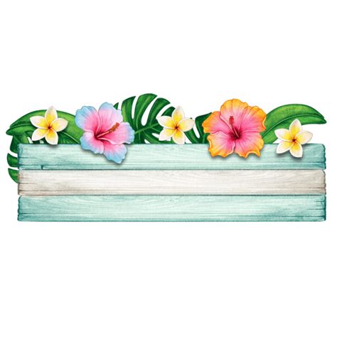 hawaiian background pngs