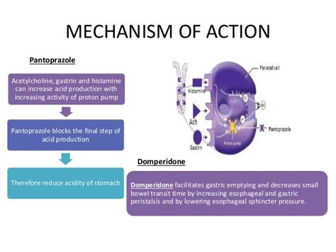 Pantoprazole + Domperidone Pharmacology