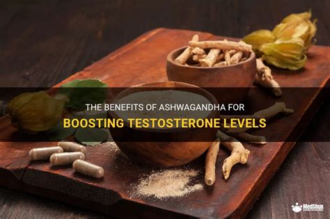 The Benefits Of Ashwagandha For Boosting Testosterone Levels Medshun