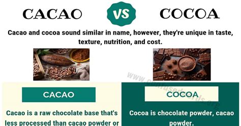 CACAO vs COCOA: Basic Difference between Cocoa vs Cacao - Confused Words