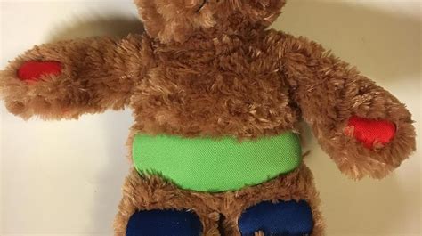 Rufus The Bear With Diabetes Book Diabeteswalls