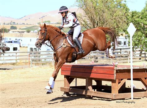 equine sport 6